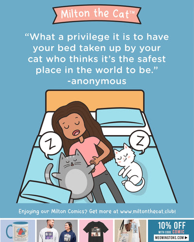 Wednesday Wisdom: What a Privelege