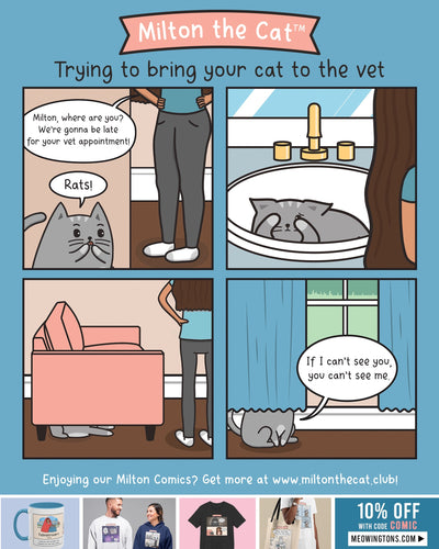 It's Take Your Cat To The Vet Day!