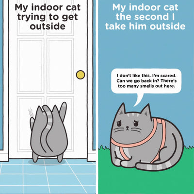 The Catnip Is Always Greener