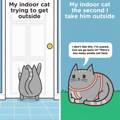 The Catnip Is Always Greener