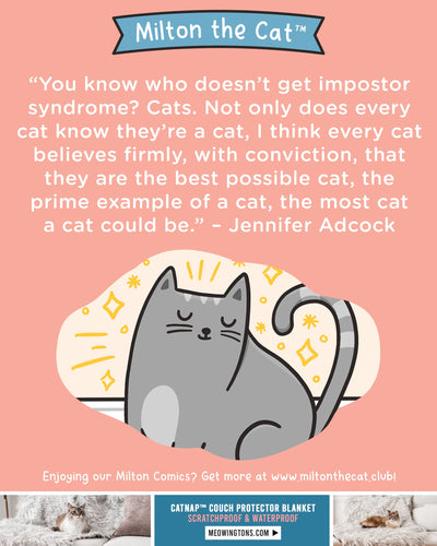 Wednesday Wisdom: Impostor Syndrome
