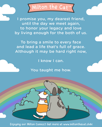 Rainbow Bridge Remembrance Day