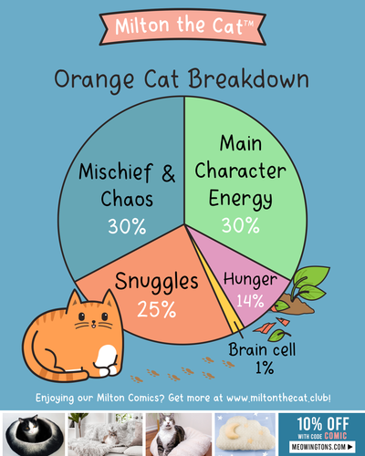 Happy Ginger Cat Appreciation Day!