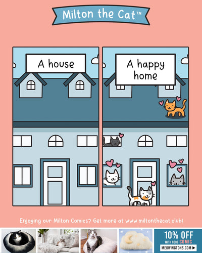 A House Isn't a Home Without At Least One Cat