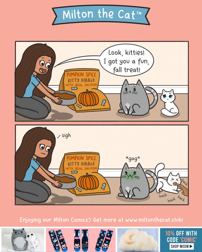EVERYTHING PUMPKIN SPICE