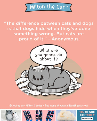 Wednesday Wisdom: The Difference Between Cats & Dogs