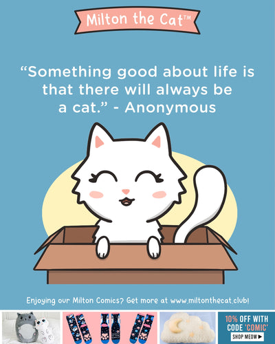 Wednesday Wisdom: Always A Cat
