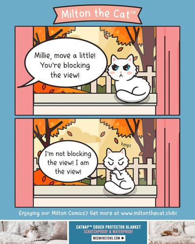 But The Leaves!