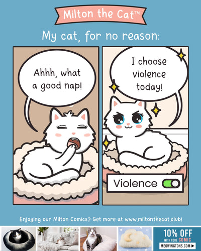Do Cats Ever Need a Reason?