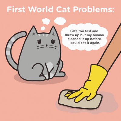 First World Cat Problems: Barf