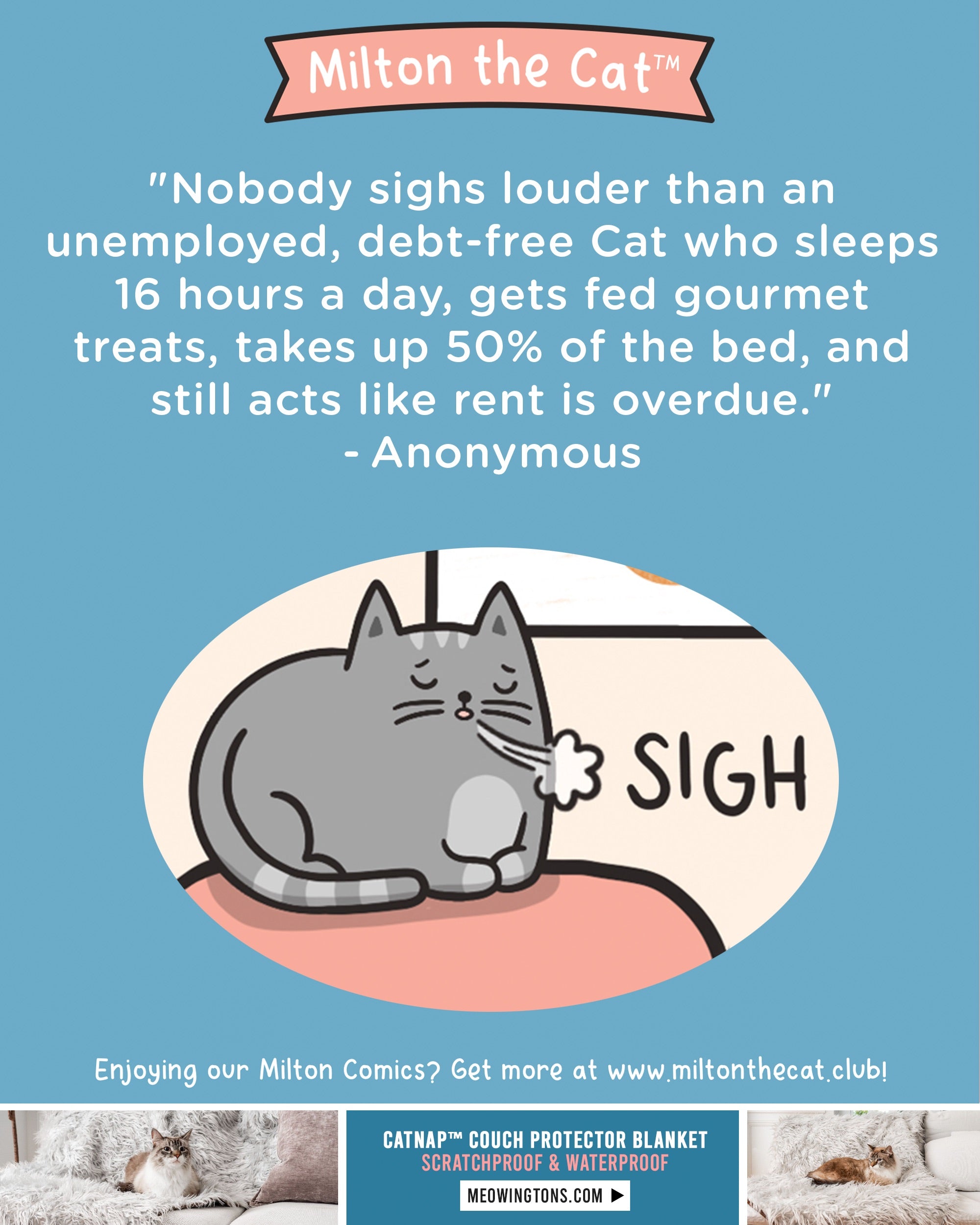 Wednesday Wisdom: SIGH – Meowingtons