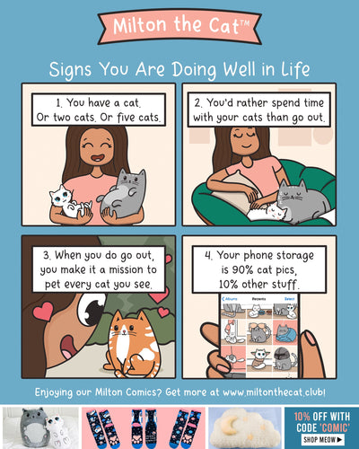 Signs You're Doing Well In Life
