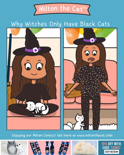 TBT: Why Witches Only Have Black Cats