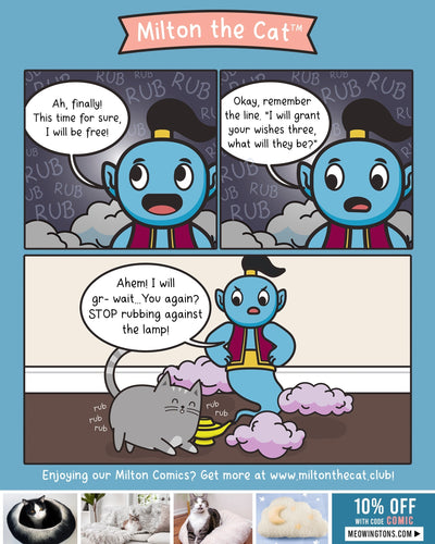 Genie Problems