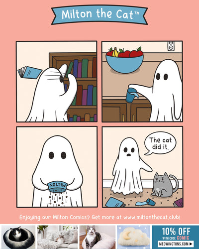 Oh, Sure, Blame It On The Cat