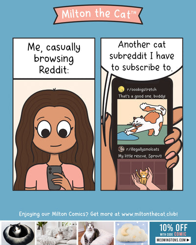 What Are Your Favorite Kitty Subreddits?