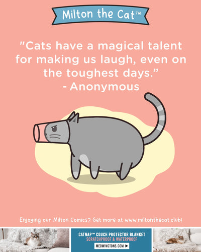 Wednesday Wisdom: Magical Talent