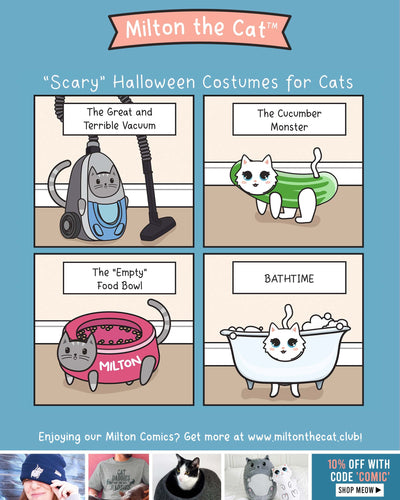 BOO! Did We Scare Mew?