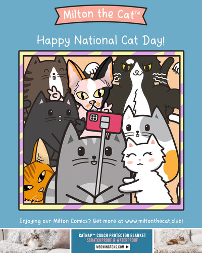 Say CHEESE! It's National Cat Day!