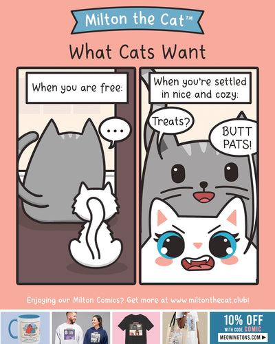 What Cats Want