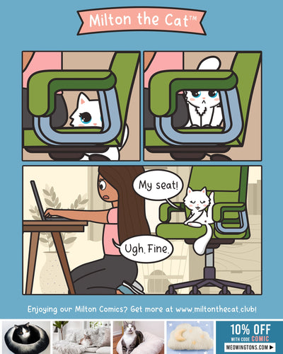 Fighting A Losing Battle