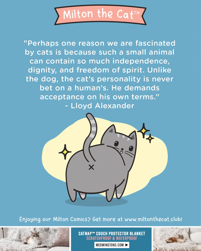 Wednesday Wisdom: Lloyd Alexander