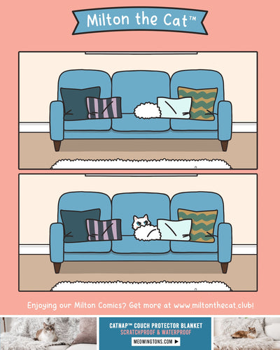 TBT: Decorative Pillows