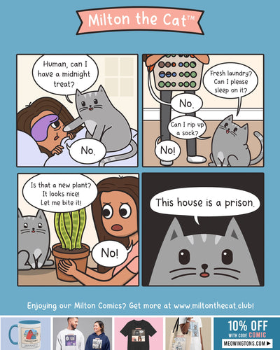 Can't Do ANYTHING In This House!