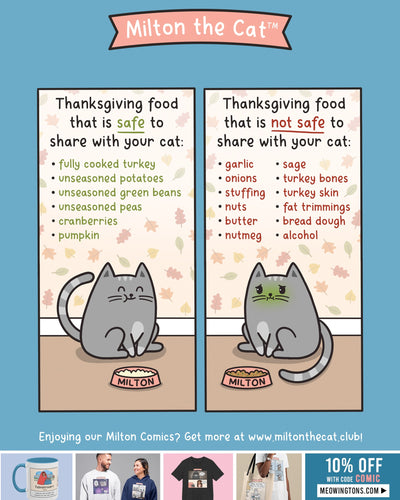 Thanksgiving Food PSA For Cat Parents