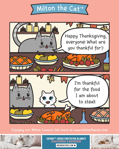 Happy Thanksgiving! What Are You Grateful For?