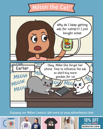 My Cats On Black Friday: