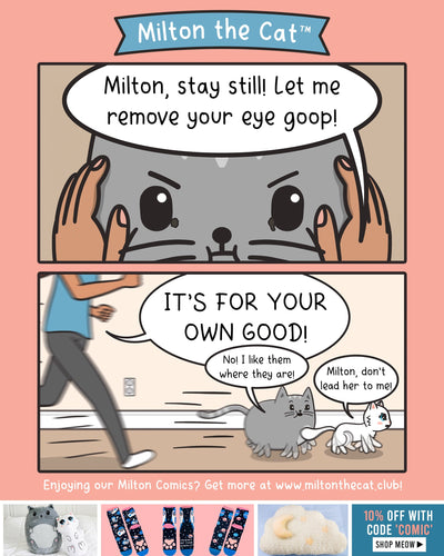 They're His Trusty Crusties, Human! DON'T TOUCH!