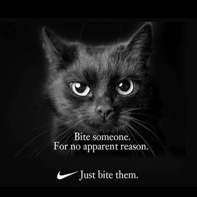 Nike 'Just Do It' Cat Memes That Will Make Your Caturday