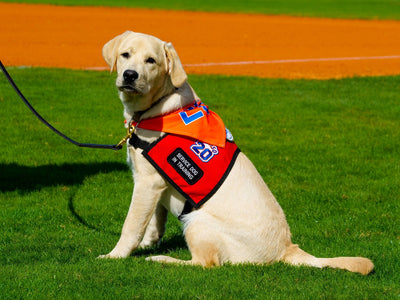 New York Mets' Star Pete Alonso Knocks It Out Of The Park To Help Pets