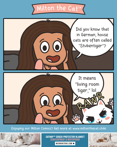 Did Mew Know?