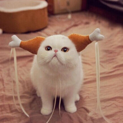 Cats That Look Alarmingly Like Thanksgiving Turkeys