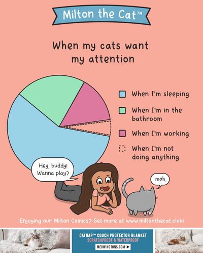 Conflicting Schedules: A Diagram