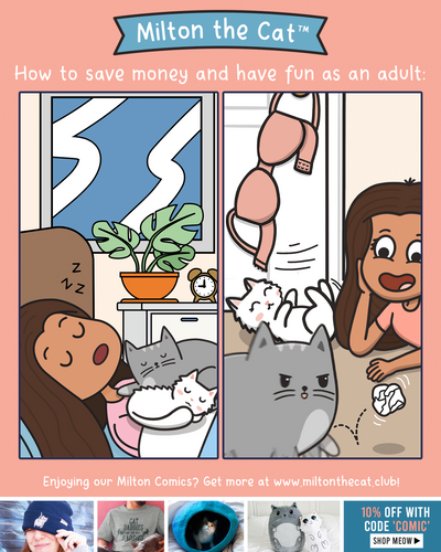 Enjoy The Simple Things