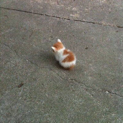 Literally Just Adorable Photos of Impossibly Tiny Cats