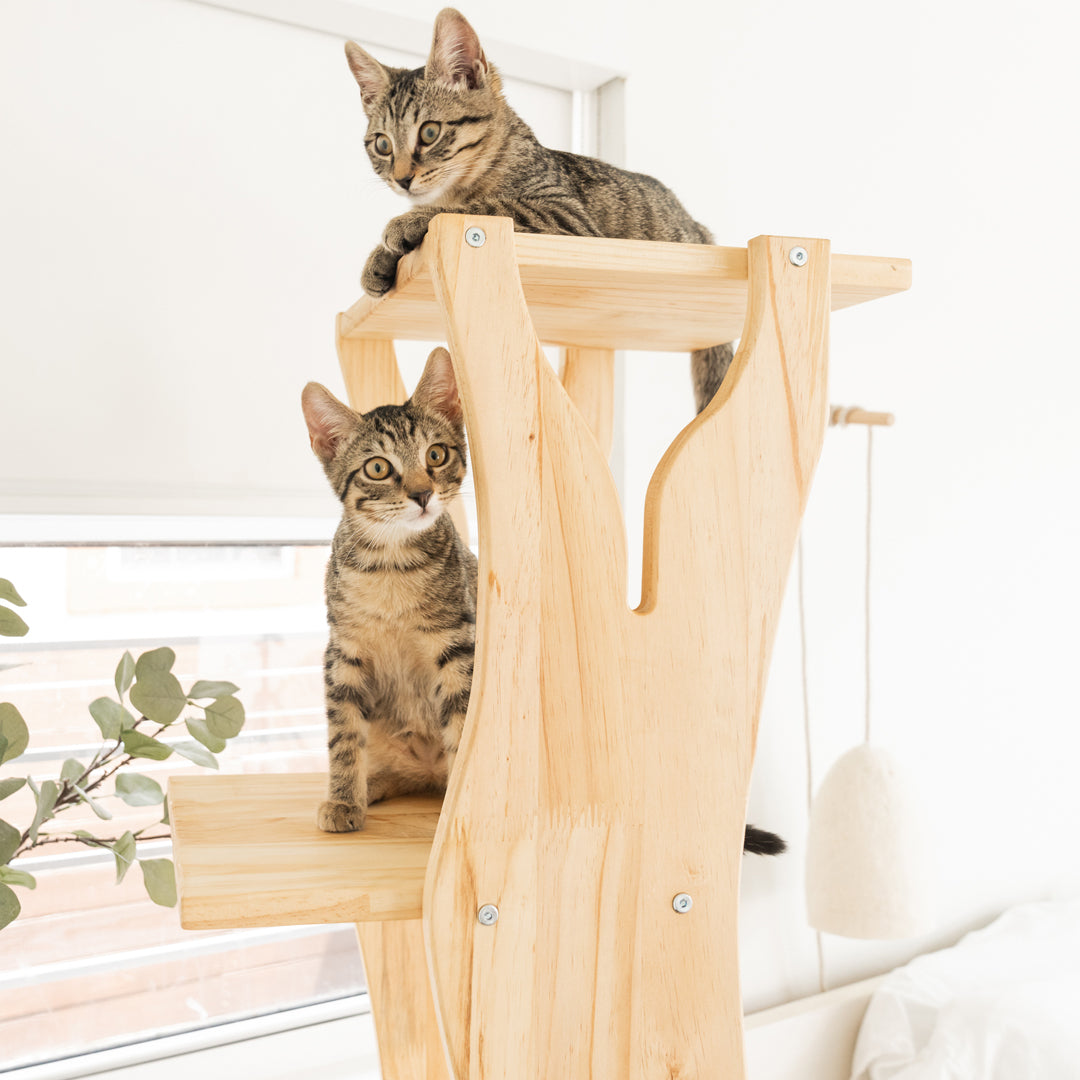 Introducing UltraModern Cat Trees You AND Your Cat Will Love Meowingtons