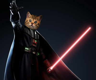 10 Cats Who Have Turned To the Dark Side