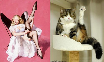 20 Cats That Think They Are Vintage Pinup Girls