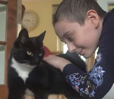 Cat that Cared for Young Cancer Patient Named Cat of the Year