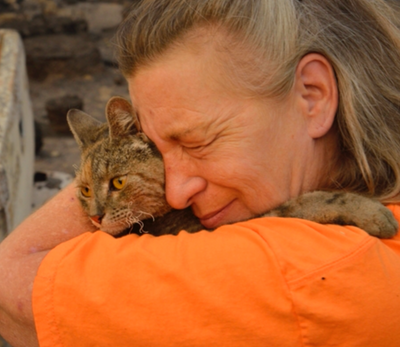 Families Who Lost Everything in The California Wildfires Are Happily Reuniting With Their Cats