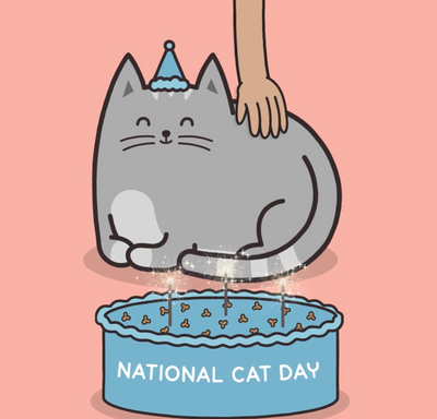 5 Ways to Celebrate National Cat Day With Your Cat