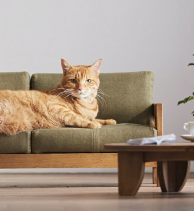 Japan Creates Miniature Cat Furniture to Please Your Furry Overlords
