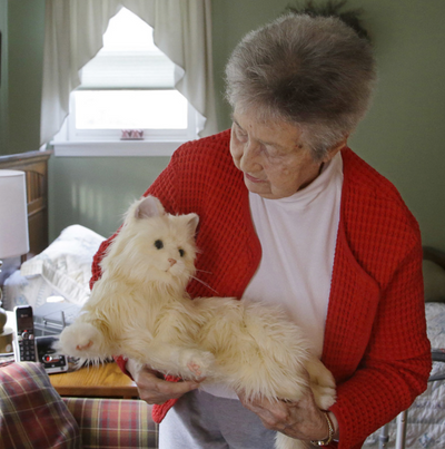 Scientists hope AI-enhanced ‘robo-cats’ will help the elderly