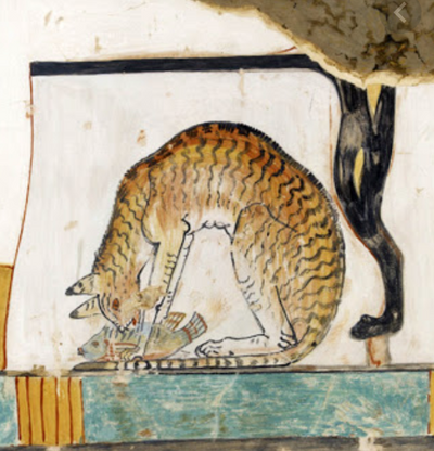 8 Ancient Cat Breeds Still in Existence Today