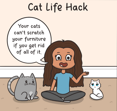 10 "Ingenious" Life Hacks for Cat Parents