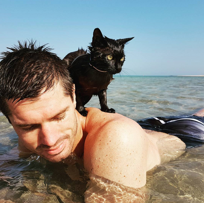 Nathan the Beach Cat is Basically a Mermaid